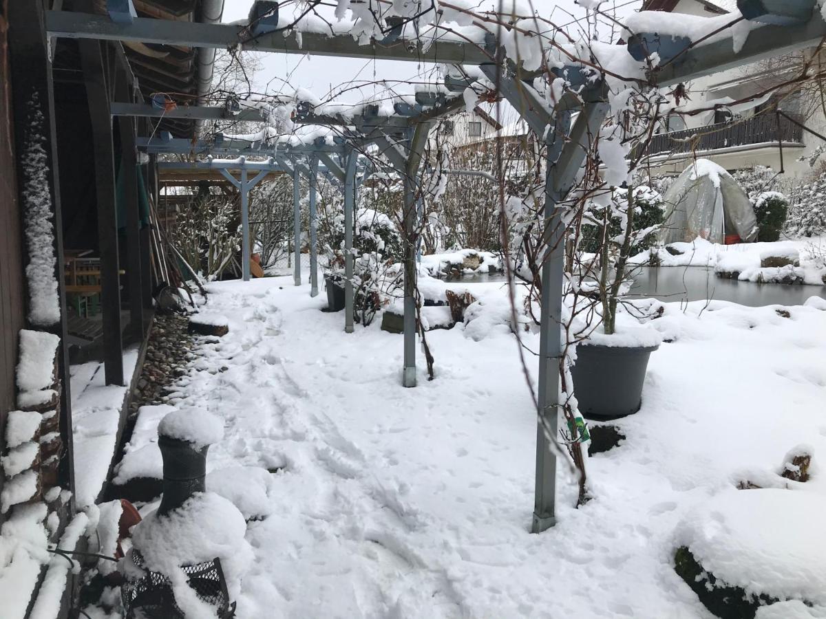 Kunsthaus Mit Gartensauna Dierdorf エクステリア 写真