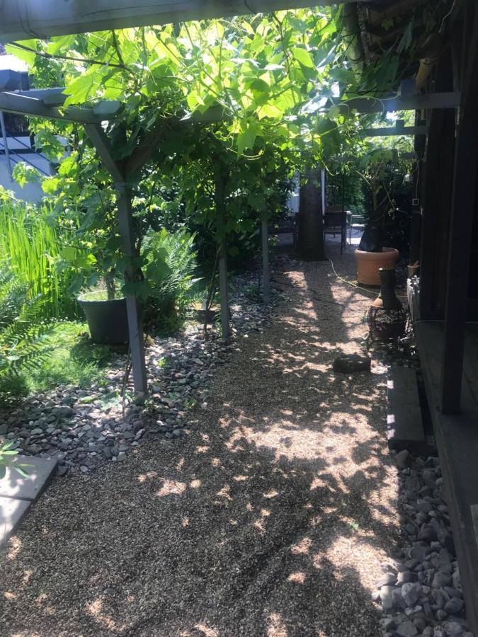 Kunsthaus Mit Gartensauna Dierdorf エクステリア 写真